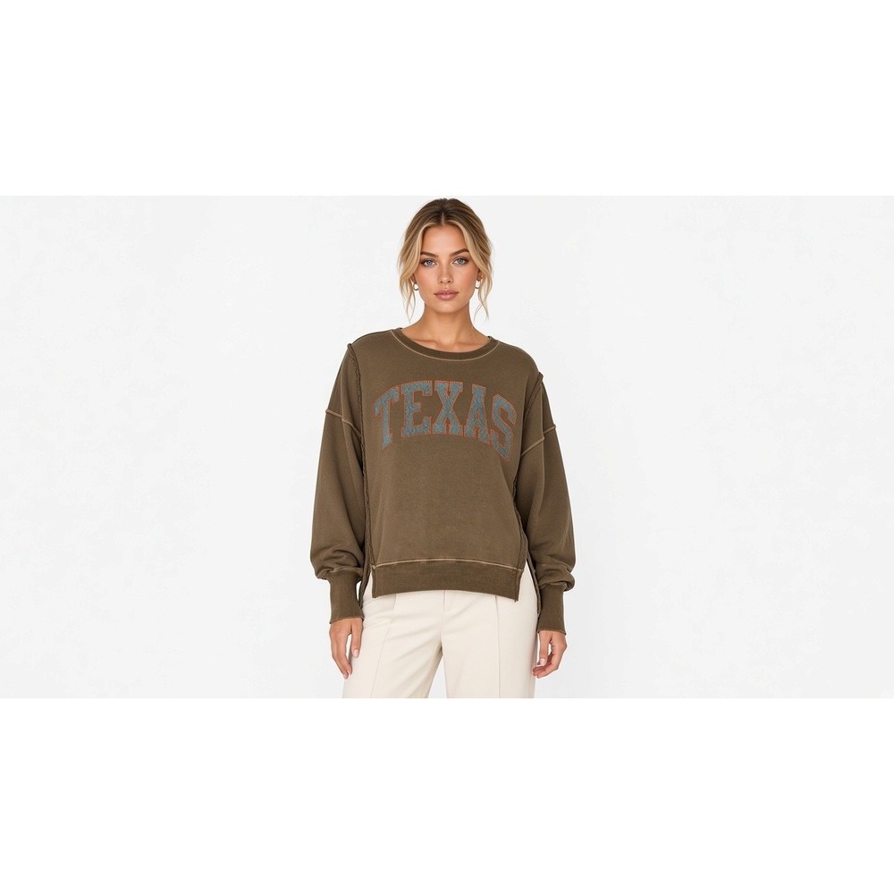 Free People We The Free Graphic Camden Pullover Texas Sweatshirt Brown Sz  XS
